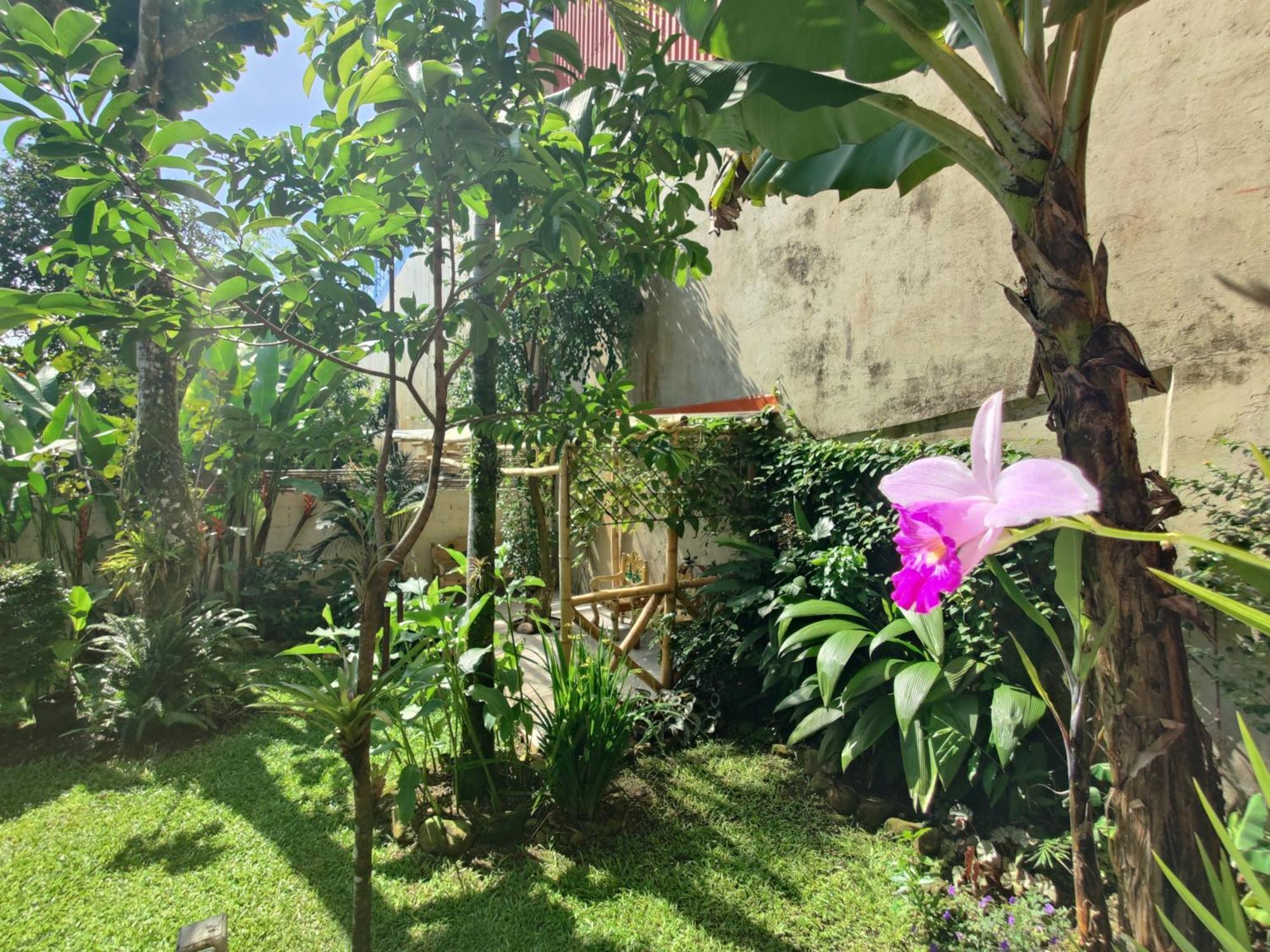 Casa De Lis Hotel & Tourist Info Centre Туриалба Екстериор снимка